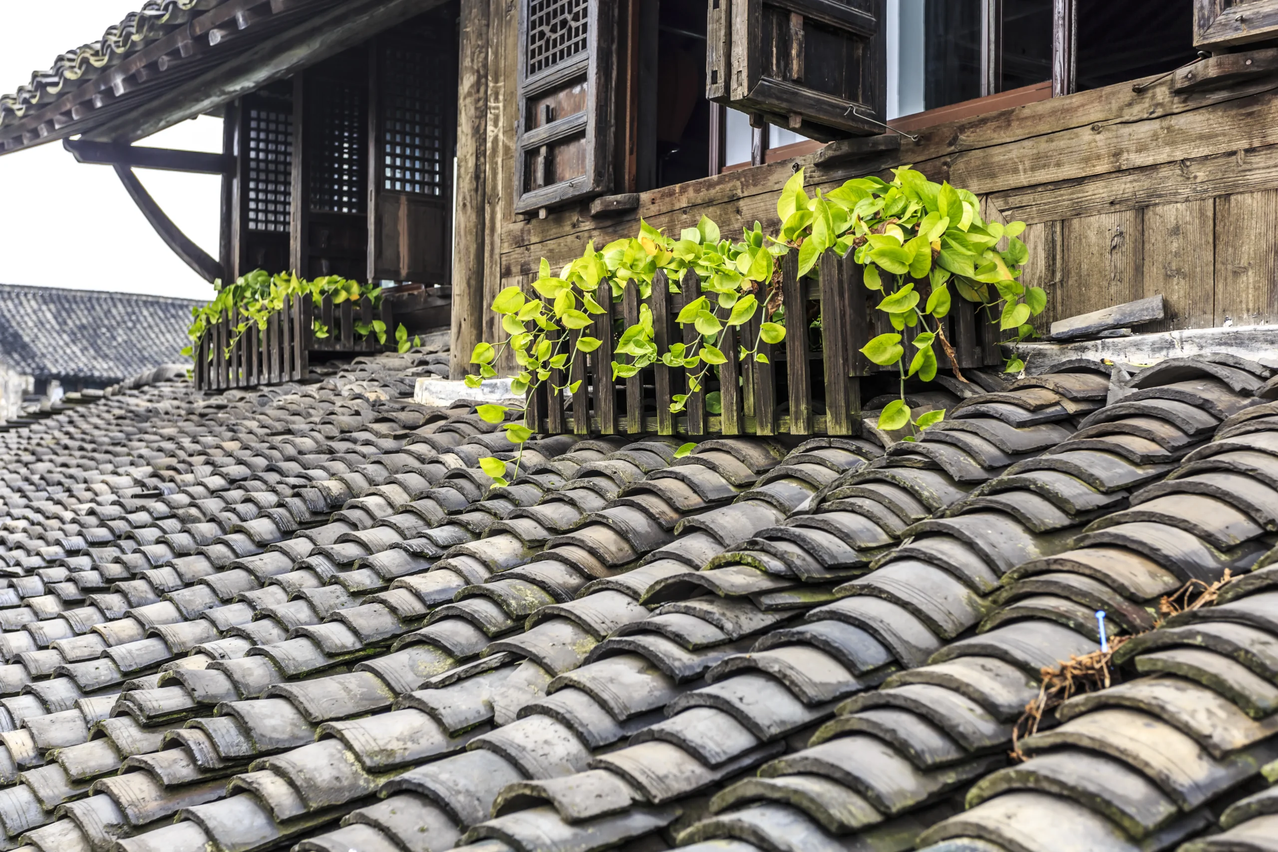 clay tile roof replacement clay tile roof replacement